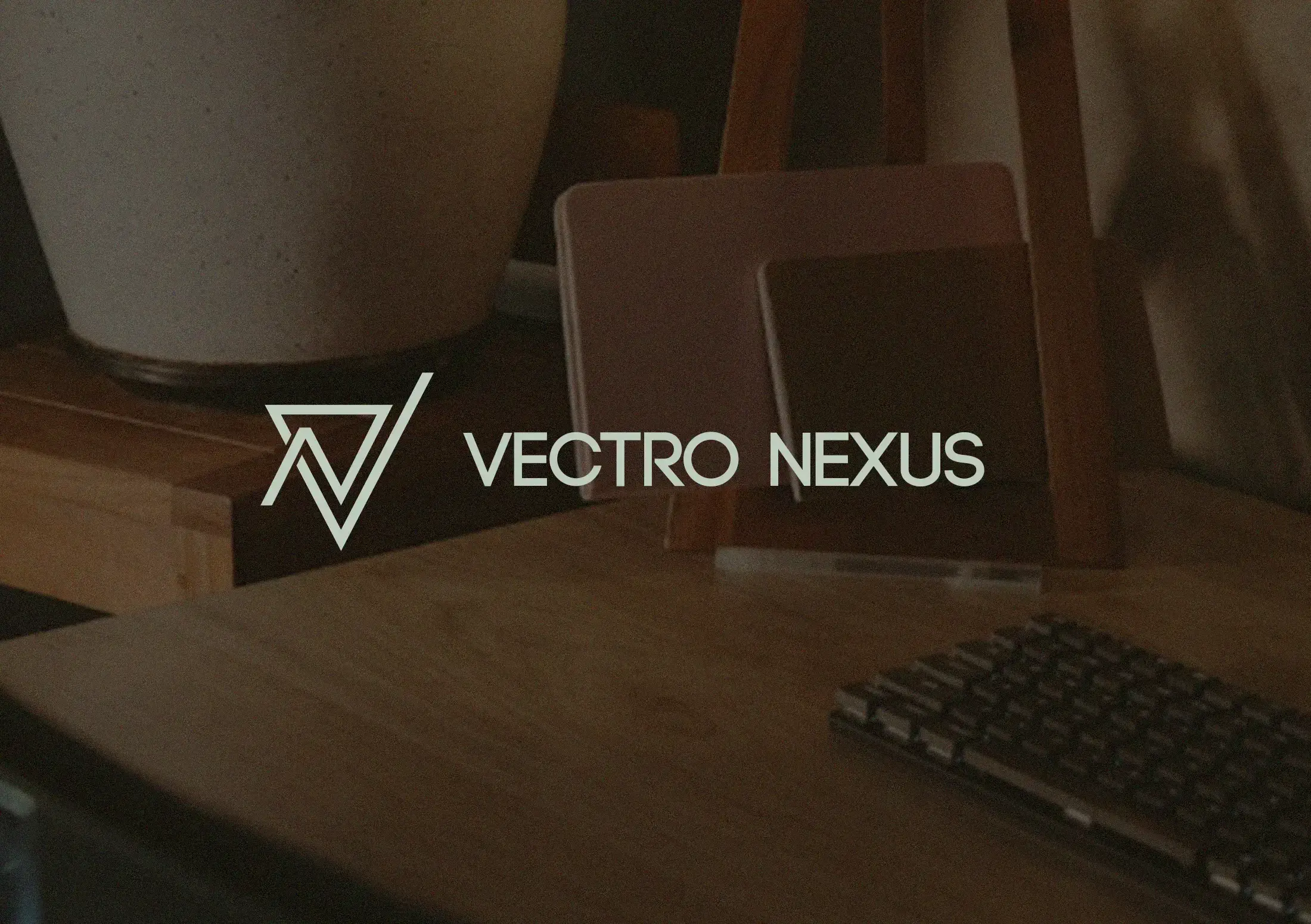 VN Brand Identity